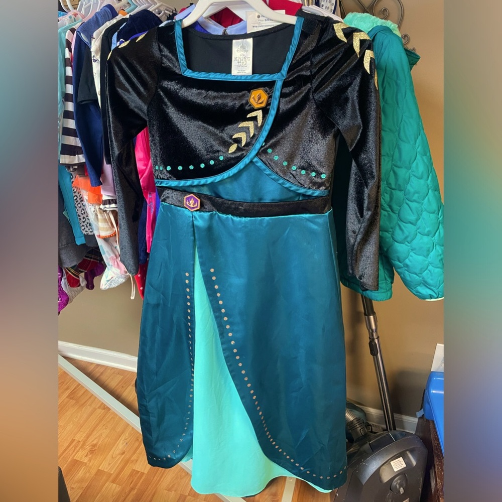 Disney Frozen 2 size 8/10 formal elegant Anna costume dress
